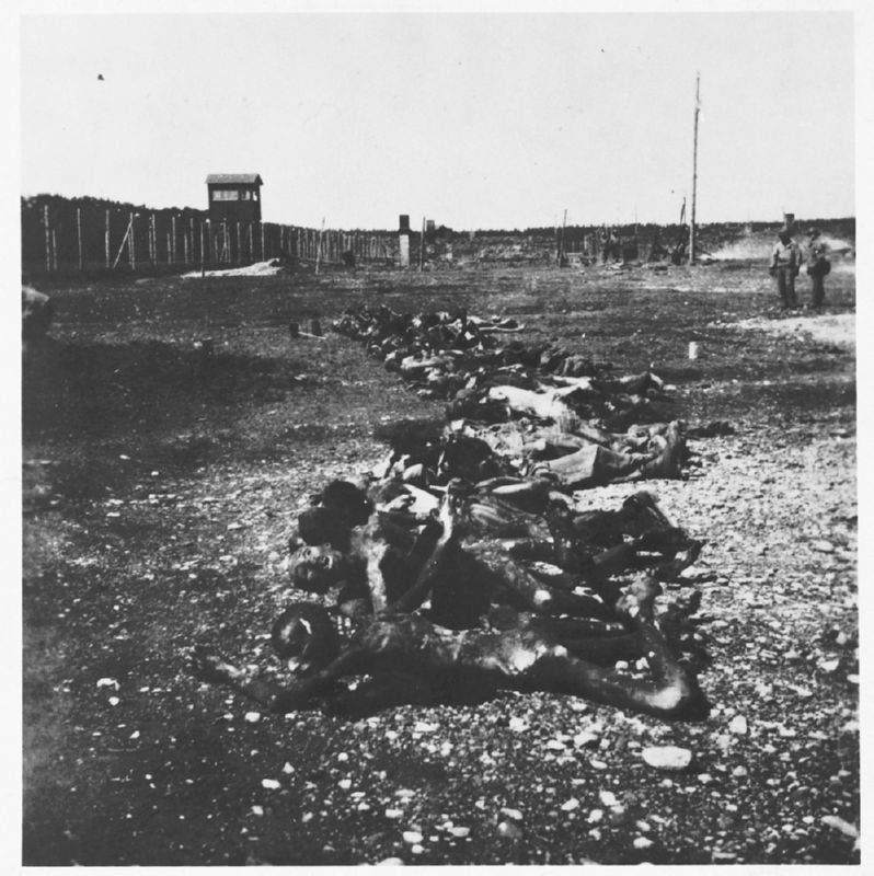 Bodies at Dachau laid out for mass burial